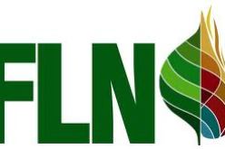 استمرار الخلافات لاتسمح بعقد دورة  للجنة المركزية لحزب جبهة التحرير الوطني