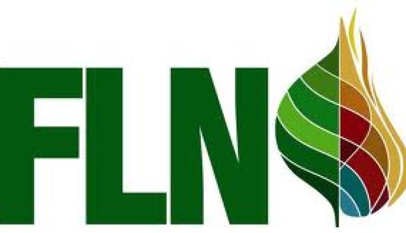 استمرار الخلافات لاتسمح بعقد دورة  للجنة المركزية لحزب جبهة التحرير الوطني