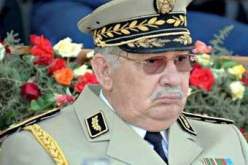 الفريق قايد صالح يشرف على حفل تخرج الدفعات للسنة الدراسية 2012 – 2013 تنفيذا لتعليمات رئيس الجمهورية