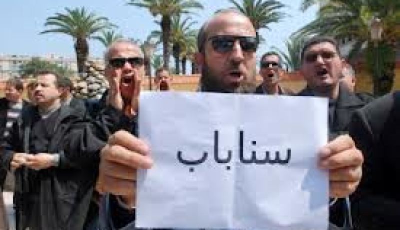 احتجاج ممثلو “السناباب”  في سعيدة