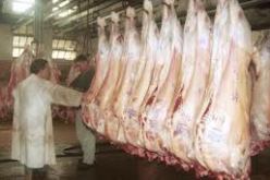 انتشارالمذابح غير القانونية يثير الانشغال في المدية