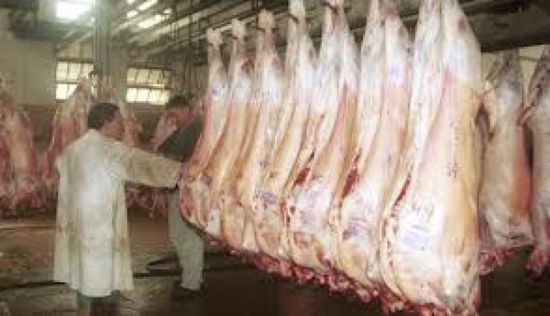 انتشارالمذابح غير القانونية يثير الانشغال في المدية