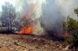 بعث مخطط مكافحة الحرائق بالبليدة