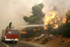 حرائق الغابات في انخفاض بالمقارنة مع سنة 2012 بالبويرة