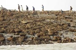 بسبب الزلزال الباكستاني جزيرة جديدة تظهر في بحر العرب