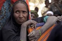 ندوة إقليمية للتّضامن مع الشعب المالي اليوم بالجزائر