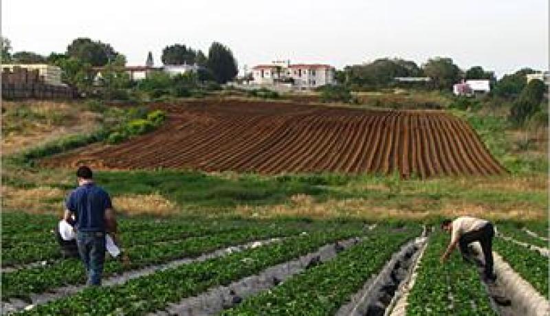 نوري يعرض واقع الفلاحة أمام  البرلمان مبرزا أهمية اعطاء قروض بدون فائدة للفلاحين في انعاش القطاع