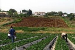 قانون الموارد البيولوجية يعرض على مجلس الحكومة للمناقشة الخميس المقبل