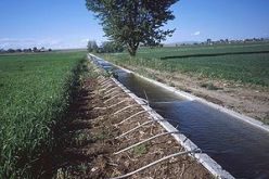 تنظيم جديد لمؤسسة الجزائرية للمياه لتحسين الخدمة العمومية في مجال توزيع المياه