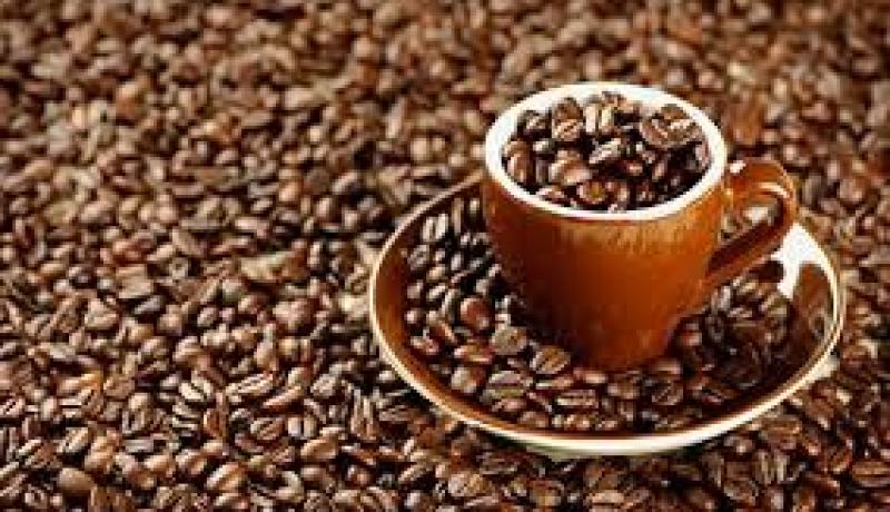 بنما تعلن عن حالة الطوارئ الصحية في قطاع البن بسبب تفشي الفطريات