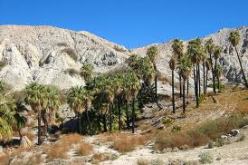 وقفة إحتجاجية بالدوسن لأجل تلبية مطالب اجتماعية في بسكرة