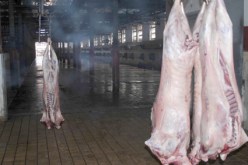 احتمال تعذر فتح المذبح البلدي بمدينة المدية يوم عيد الأضحى