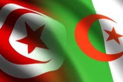 الجزائر و تونس قطعتا أشواطا كبيرة باتجاه شراكة استراتيجية في مختلف القطاعات