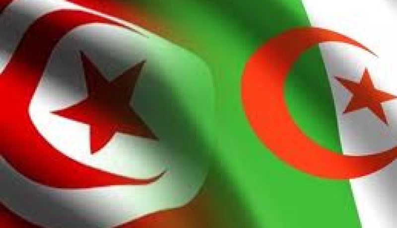 الجزائر و تونس قطعتا أشواطا كبيرة باتجاه شراكة استراتيجية في مختلف القطاعات