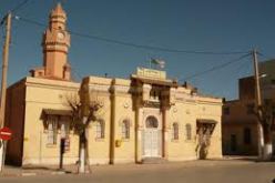 إنجاز أكثر من 570 هكتار من الغراسة الرعوية خلال الموسم الجاري بالبيض