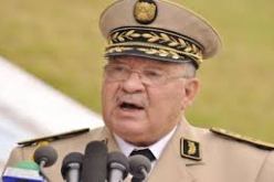 ترقيات عدد من الضباط السامين محفزات اخرى لمواصلة العمل المثمر لفائدة الجيش