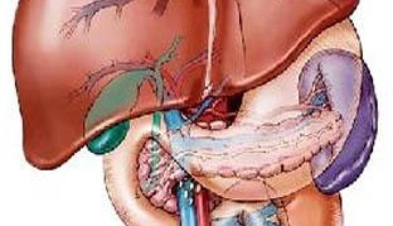 أدوية مبتكرة لعلاج التهاب الكبد الفيروسي ستنزل الى الاسواق بين سنتي 2017-2018