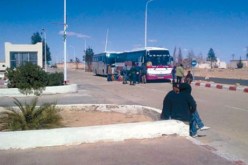 إنشاء 5 محيطات فلاحية جديدة لفائدة الشباب بإيليزي