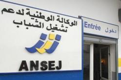 إلغاء القروض على مشاريع أنساج وكناك وتخفيزات للشباب للإستثمار في قطاع الصناعة والفلاحة