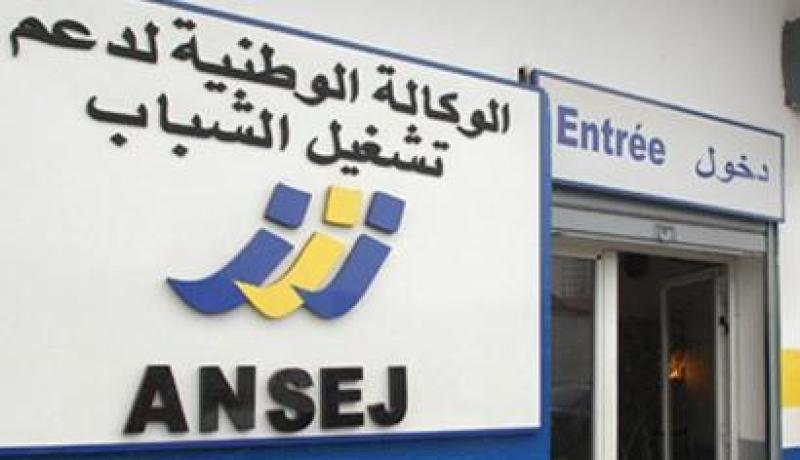 إلغاء القروض على مشاريع أنساج وكناك وتخفيزات للشباب للإستثمار في قطاع الصناعة والفلاحة