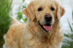 حجز كميات معتبرة من الأدوية للاستعمال الإنساني والحيواني بسوق أهراس