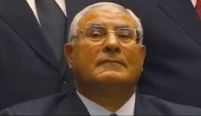 عدلي منصور يشرح لـ أشتون معالم خارطة طريق المرحلة الانتقالية