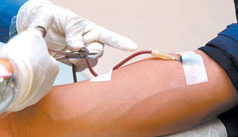 حملة تبرع  بالدم في تلمسان