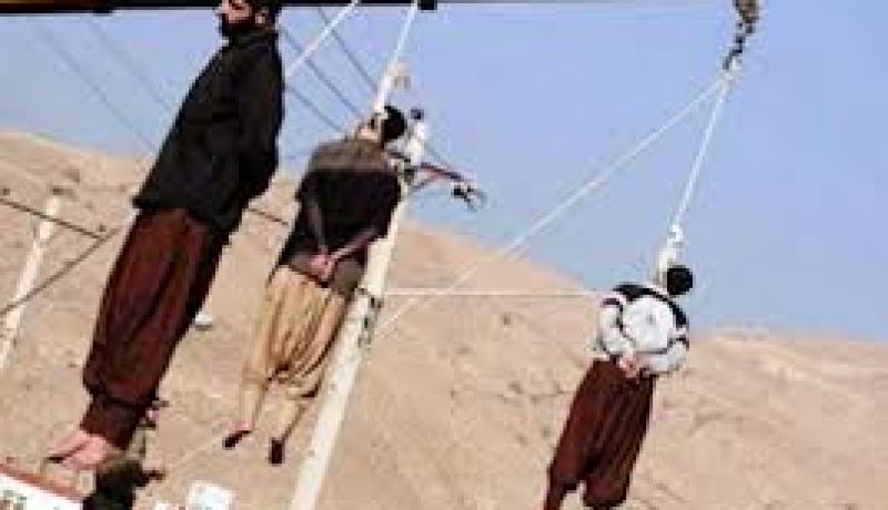 اعدام 11 مدانا بالارهاب في العراق