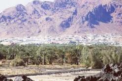 دورة تكوينية بباتنة لفائدة 378 عون رقابة بدءا من سبتمبر المقبل