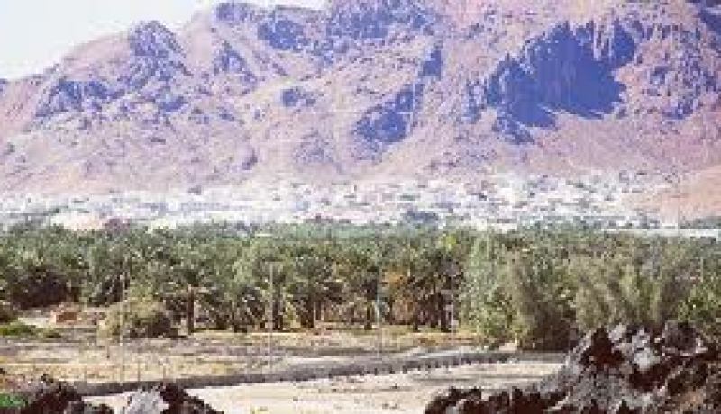 دورة تكوينية بباتنة لفائدة 378 عون رقابة بدءا من سبتمبر المقبل