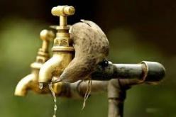 الشروع في دراسة التنوع البيولوجي لحماية الثروة المكتسبة