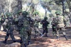 ارهابي يسلم نفسه للجيش الشعبي الوطني بالتبسة