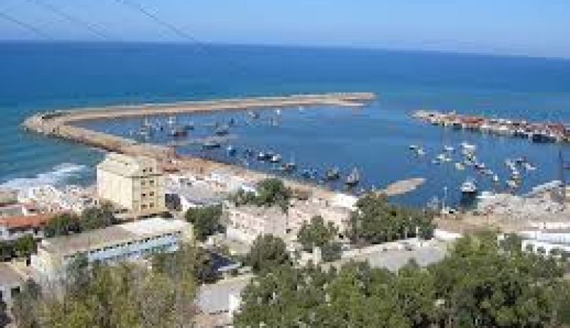 شركة البوزلان لبني صاف تتكبد ضررا يقدر بحوالي 80 مليون دج