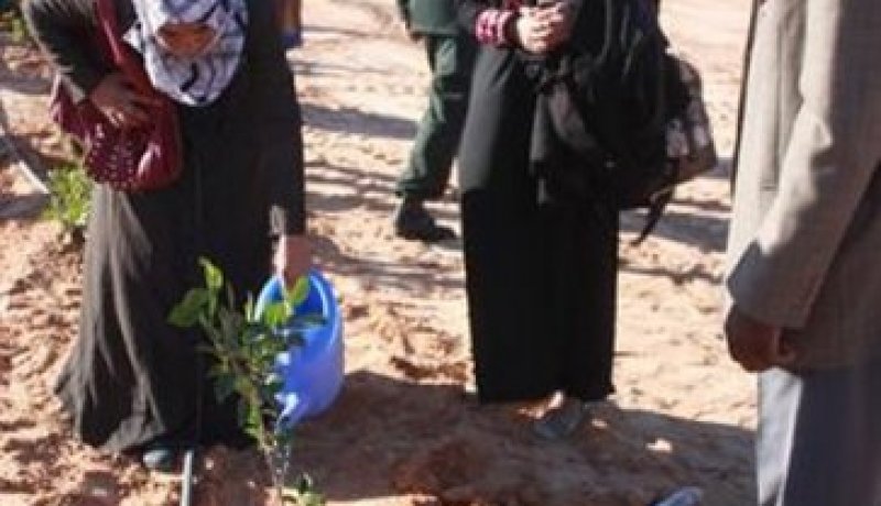 رصد 6 ملايين دج لإعادة الإعتبار للأحزمة الخضراء بولاية ورقلة