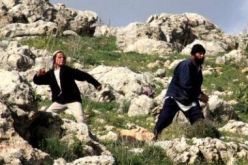 إصابة 4 فلسطينيين في اعتداء جديد للمستوطنين بنابلس