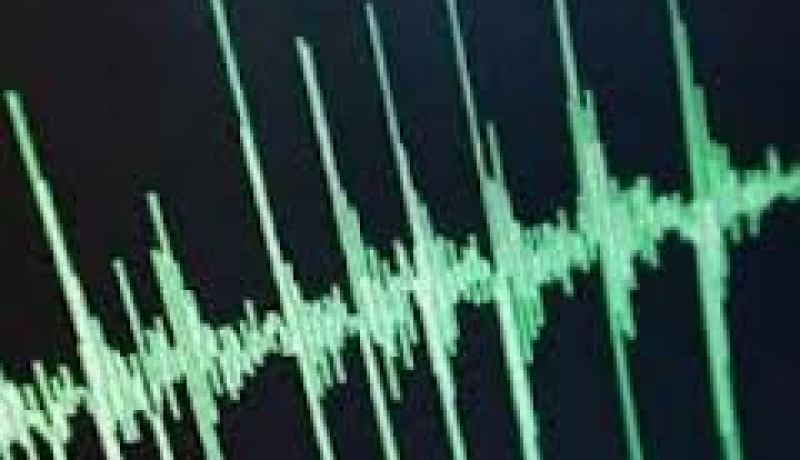 هزة أرضية بقوة 4.6 درجة تضرب إيران