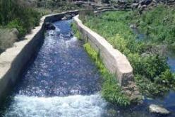 الجزائر و كوبا تعتزمان ابرام مذكرة تفاهم في مجال الموارد المائية