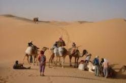 الرئيس النيجيري يشيد بالدور “الفعال” الذي تلعبه الجزائر  في استقرار منطقة الساحل وتنميتها