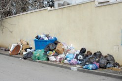 أحياء العاصمة لا تستجيب لحملة النظافة