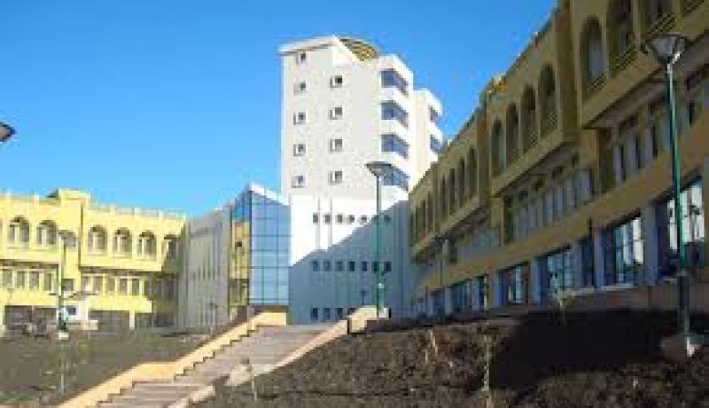 النيران تأتي على 15 هكتارا من أشجار الصنوبر الحلبي بولاية ميلة