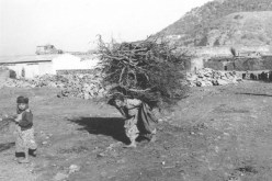 بيان أول نوفمبر 1954 أرسى مبادئ الدولة الجزائرية وليس أسسها