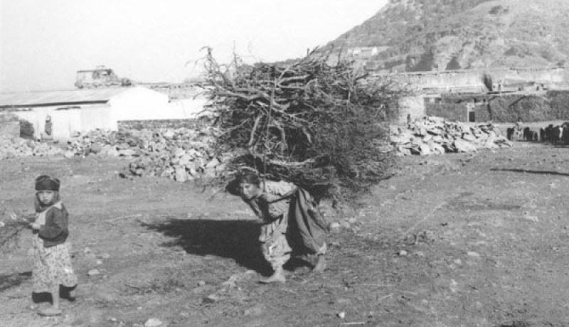 بيان أول نوفمبر 1954 أرسى مبادئ الدولة الجزائرية وليس أسسها