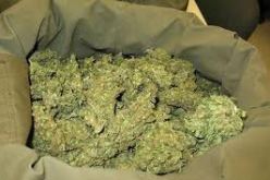 حجز 2.4 كيلوغرام من القنب الهندي من طرف مصالح أمن الجزائر العاصمة