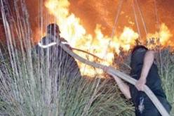 النيران تأتي على أزيد من 11 هكتارا من الغطاء النباتي بباتنة