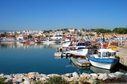 إدراج وسطاء محيط تسويق السمك في القائمة السوداء بجيجل