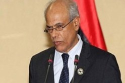 وزير العدل الليبي يستدعي السفيرة الأمريكية لدى بلاده على خلفية اختطاف ابو أنس الليبي