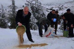 انثروا القمح على رؤوس الجبال؛ لكي لا يقال جاع طير في بلاد المسلمين