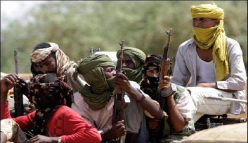 الجيش السوداني يطارد متمردين في عدة مناطق