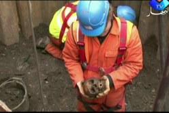 بريطانيا تكتشف هياكل عظمية تعود للعصور الوسطى