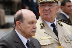 الرئيس بوتفليقة يستقبل الفريق قايد صالح